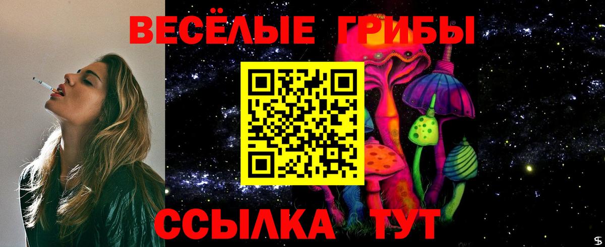 Звенигород  Псилоцибиновые грибы GOLDEN TEACHER  Вход с VPN  Псилоцибиновые грибы Psilocybine cubensis 